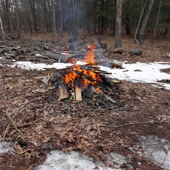 Meet your Posher, Michelle - Picture 8 of 8